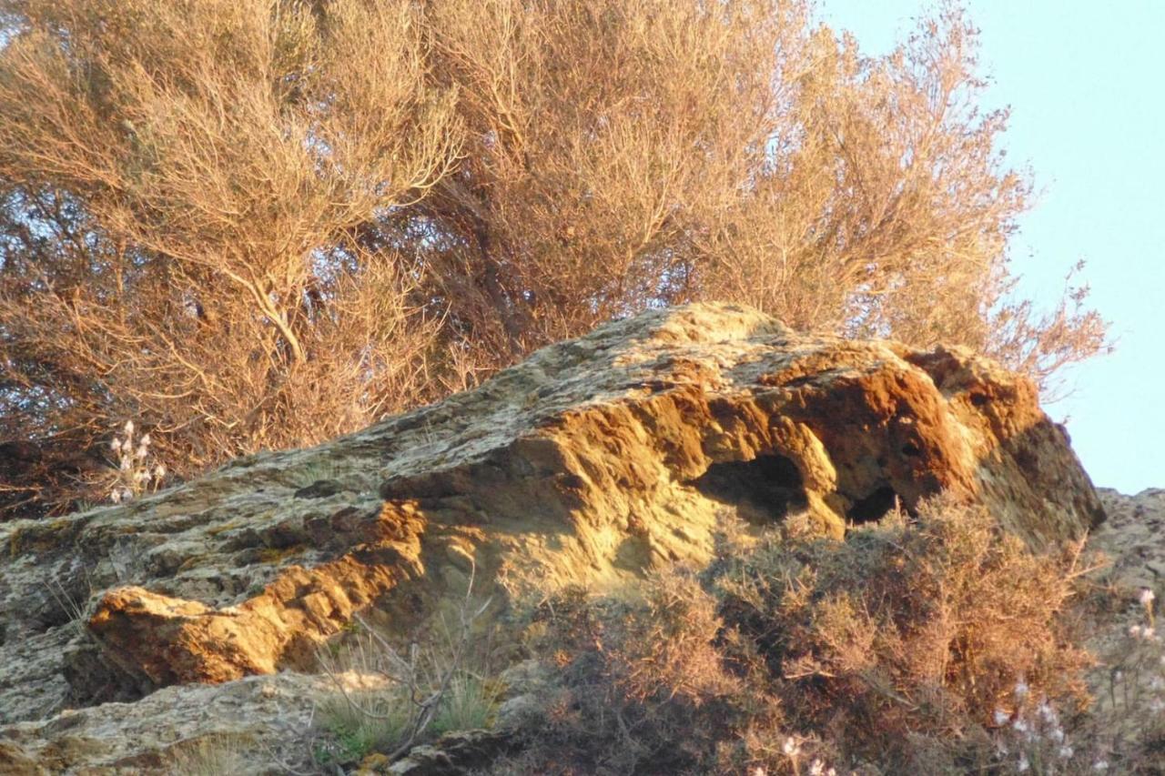 Olenia Residence Agia Pelagia Zewnętrze zdjęcie
